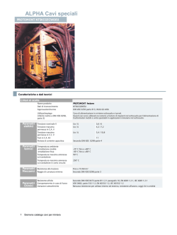 Estratto PROTOMONT per catena guaina rossa