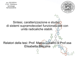 arg tesi sperim Lucarini_2014