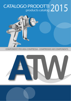 4010 - Team Work Srl