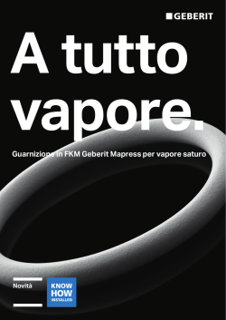 Guarnizione in FKM Geberit Mapress per vapore saturo