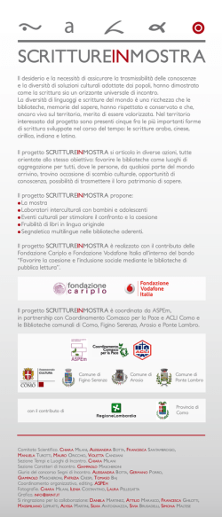 Pannello Introduttivo Scritture in mostra