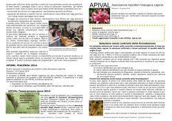 n. 23 - Apival