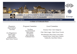 Organizer Co-Organizers: Program Committee Local