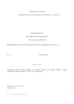 PROVVEDIMENTO DEL DIRIGENTE