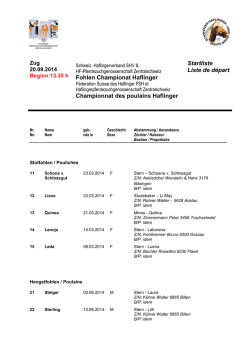 Fohlen Championat Haflinger Championnat des poulains Haflinger