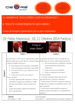 Dr. Fabio Mazzocco, Padova
