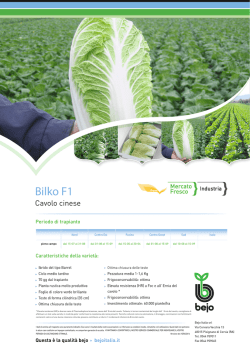 BilkoF1 - Bejo Italia