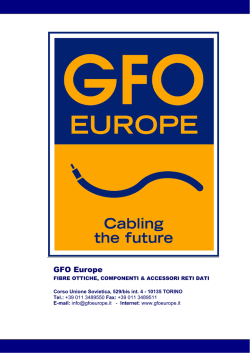 company profile - Gfo Europe S.p.A.