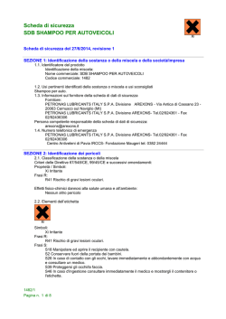 SDS1482-SDB Shampoo per autoveicoli.RTF