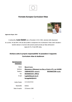 Curriculum Gelati Luca agg.Giugno 2014