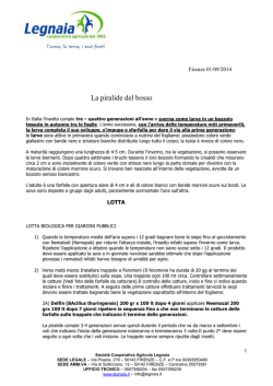 PIRALIDE DEL BOSSO