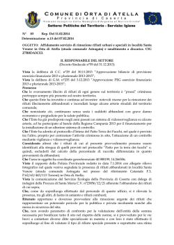 N&deg; 83 Rep. Del 11.02.2014 Determinazione n.13 del 07.02.2014