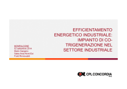 EFFICIENTAMENTO ENERGETICO INDUSTRIALE