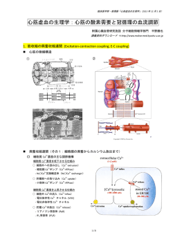 MD Cardiology-IHD 2013