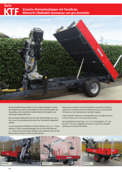 Datenblatt Kipper mit Forstkran