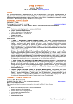 Curriculum Vitae - Piedra Consulting