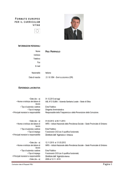 Curriculum Vitae Pisu PierPaolo 25-02-2014