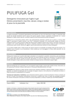 Scheda tecnica Pulifuga Gel