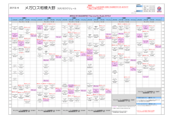 メガロス相模大野 スタジオスケジュール;pdf