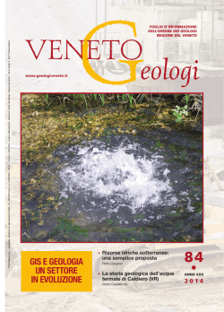 GIS E GEOLOGIA UN SETTORE IN EVOLUZIONE