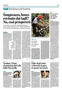 Taglio del bosco a Songavazzo