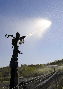 28.05.2014 Lo sviluppo dello spirito imprenditoriale in Ticino