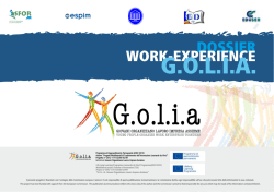 Dossier work experience