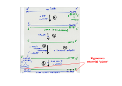 Proteine ricombinanti 1a