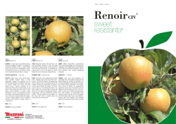 Renoir Sweet Resistants