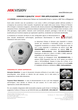 hikvision_6Mp_360_fisheye_ds-2cd6362f-ivs_descrizione