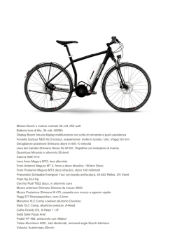 scheda pdf - Ies Bike