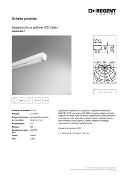 Scheda prodotto Apparecchio a plafone ICE Open