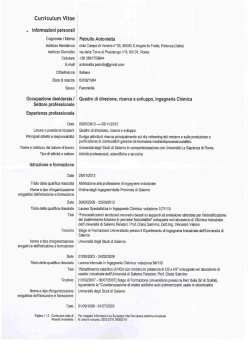 Antonietta Petrullo - Dipartimento Ingegneria Chimica Materiali