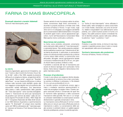 FARINA DI MAIS BIANCOPERLA