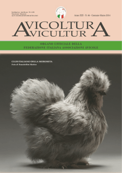 Avicoltura-Avicultura n&deg;46