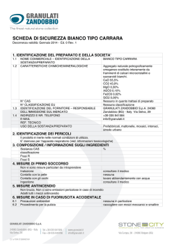 SCHEDA DI SICUREZZA BIANCO TIPO CARRARA