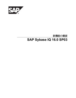 SAP Sybase IQ 16.0 SP03