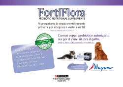 Scarica qui il pdf completo