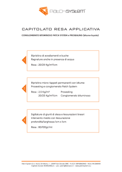 Capitolato resa applicativa
