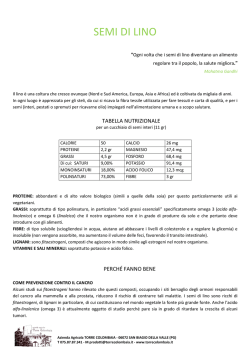 scheda_semi di lino