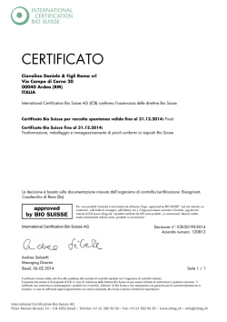 CERTIFICATO - Ciavolino Daniele e Figli