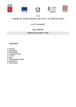 RELAZIONE Elaborazione report e studi