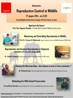 287 KB - Universit&agrave; degli Studi di Teramo