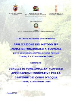 applicazione del metodo iff indice di funzionalita