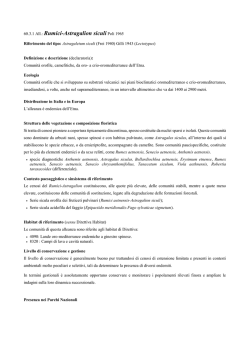 60.3.1 Rumici-Astragalion siculi - prodromo della vegetazione d