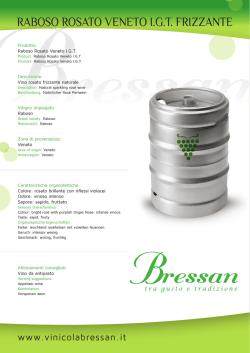 RABOSO ROSATO VENETO I.G.T. FRIZZANTE
