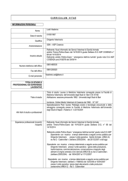 C U R R I C U L U M    V I T A E
