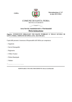 COMUNE DI SANTA FIORA Determinazione