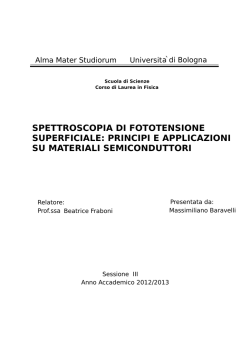 Documento PDF - AMS Tesi di Laurea