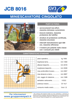 JCB 8016 - Gruppo Venpa 3